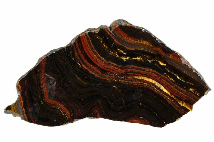 Polished Tiger Iron Stromatolite Slab - Billion Years #185914